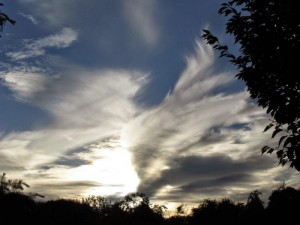 Mare's tail clouds        