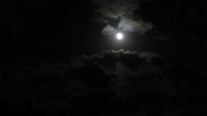 Moonlight          